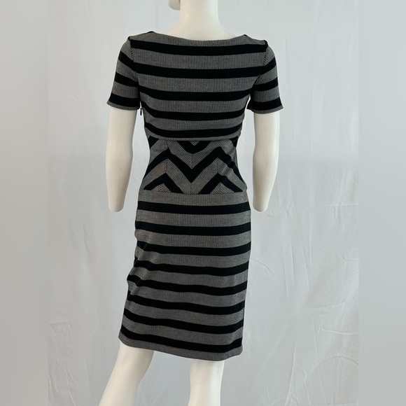 BCBG MaxAzria Roslyn Belted Gray Striped Trimmed A-line Dress - Picture 3 of 8